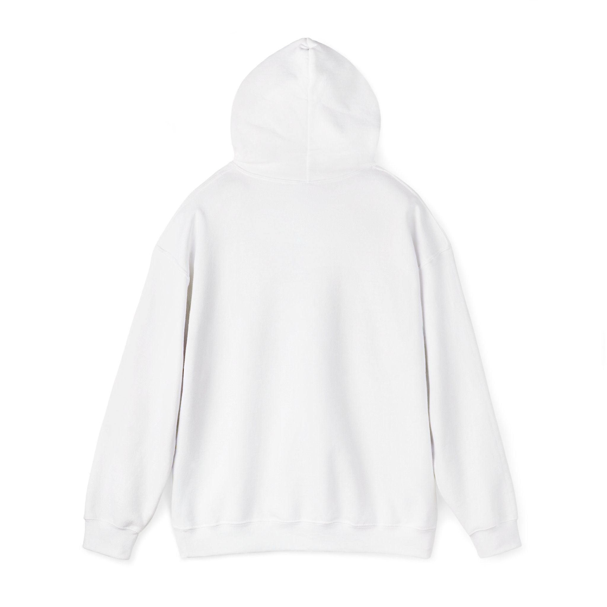Hoodie — Iridescent Abstract Arch Graphic Pullover